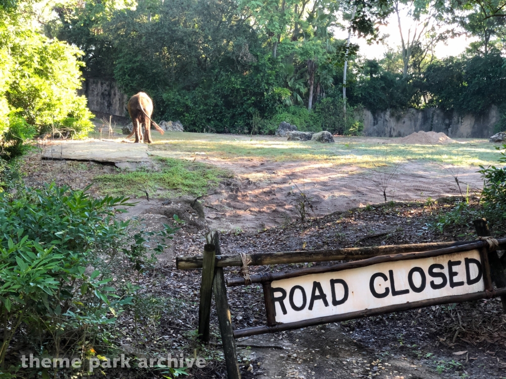 Kilimanjaro Safaris at Disney's Animal Kingdom