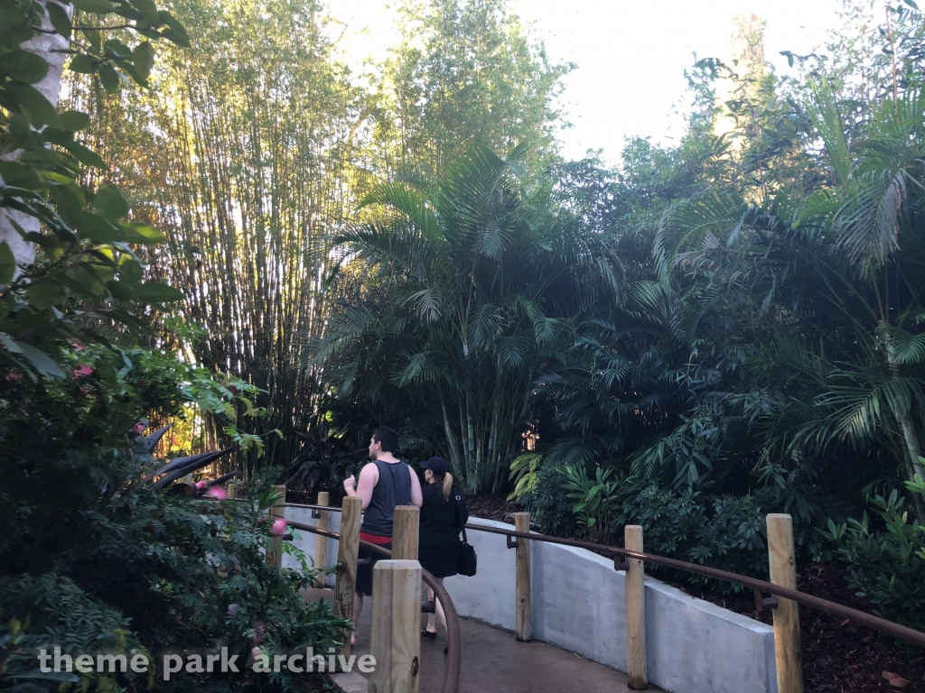 Entrance at Volcano Bay