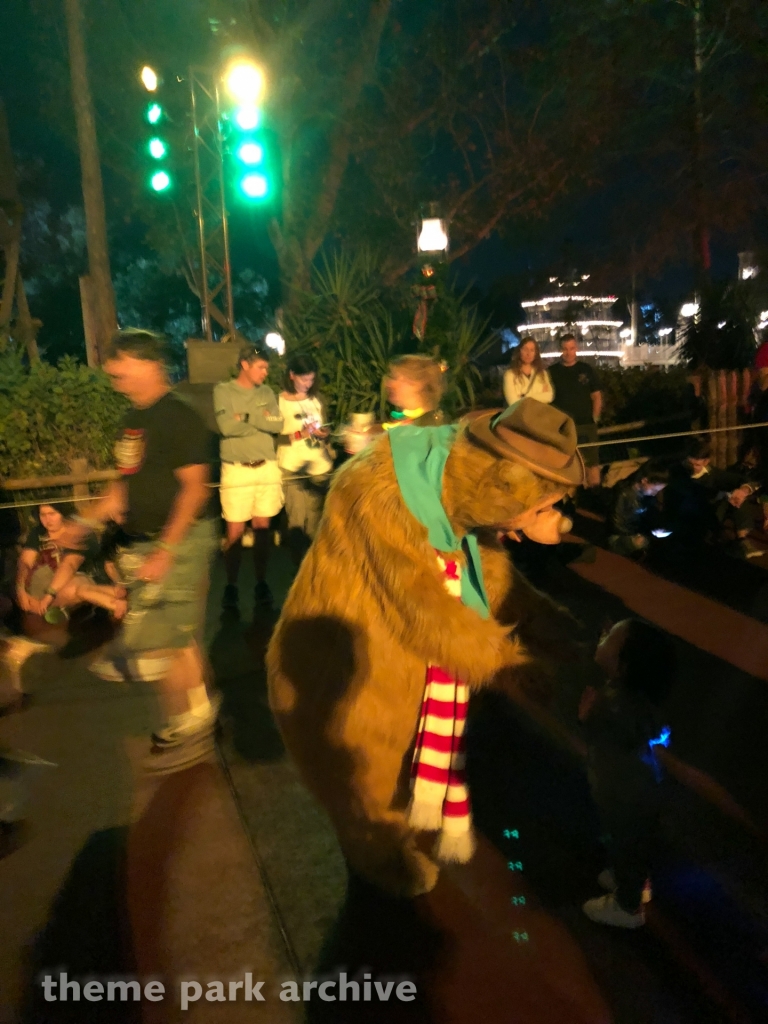 Frontierland at Magic Kingdom