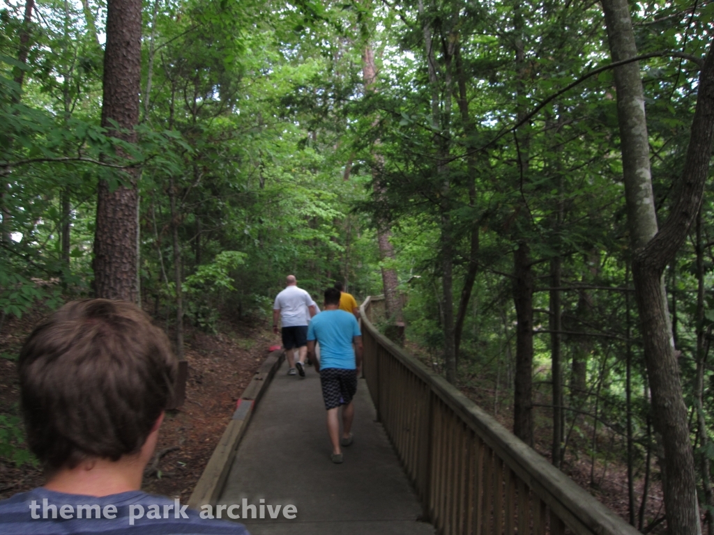 Mountain Slidewinder at Dollywood
