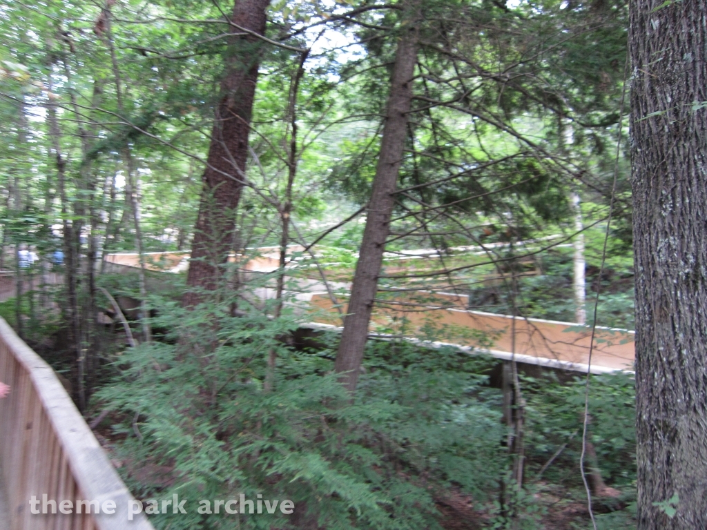 Mountain Slidewinder at Dollywood