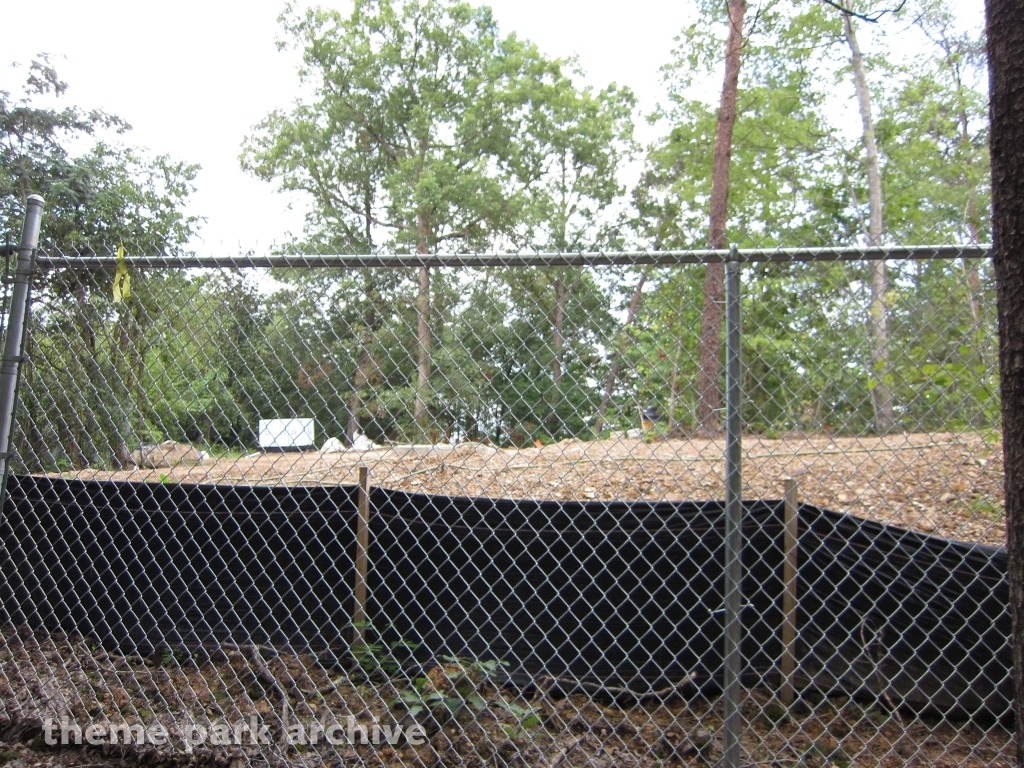 Wild Eagle at Dollywood