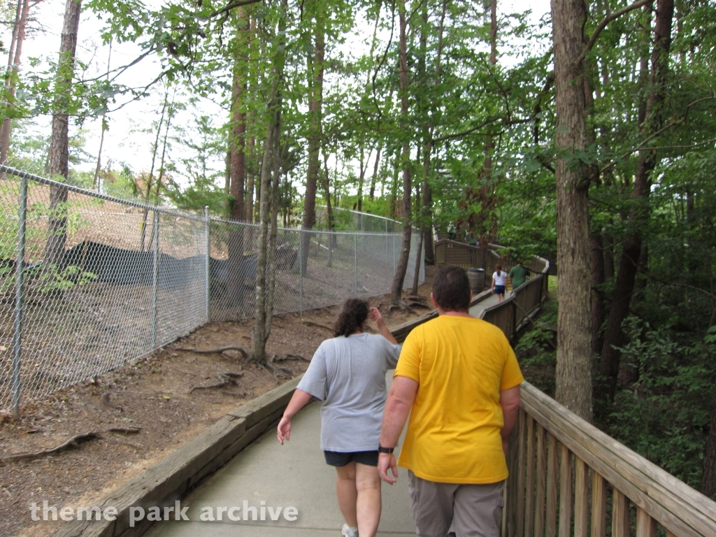 Mountain Slidewinder at Dollywood