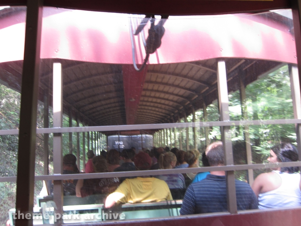 Dollywood Express at Dollywood