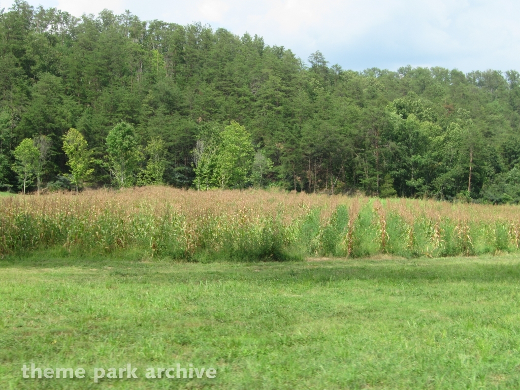 Dollywood Express at Dollywood