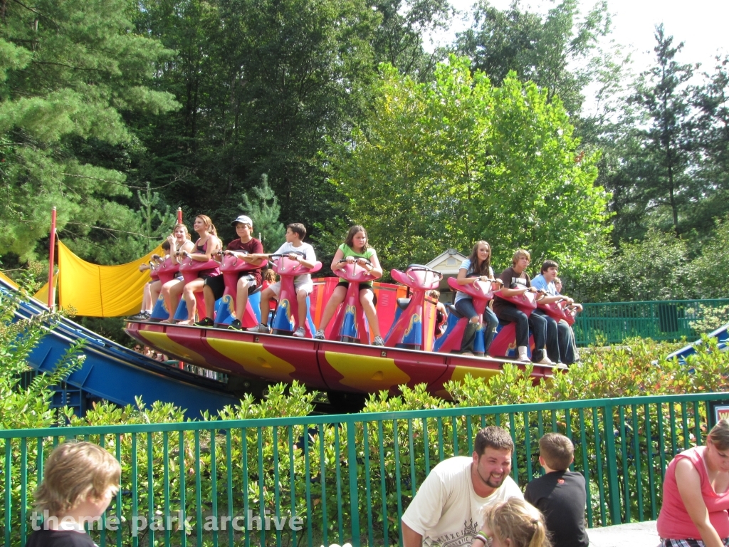 Dizzy Disk at Dollywood