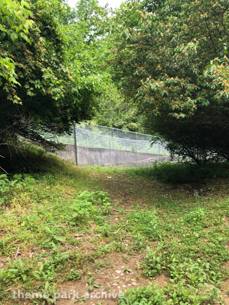 The Beast at Kings Island