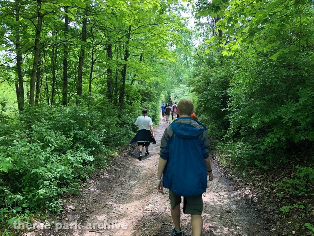 The Beast at Kings Island