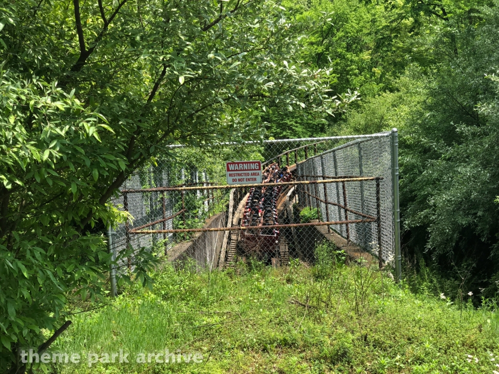 The Beast at Kings Island