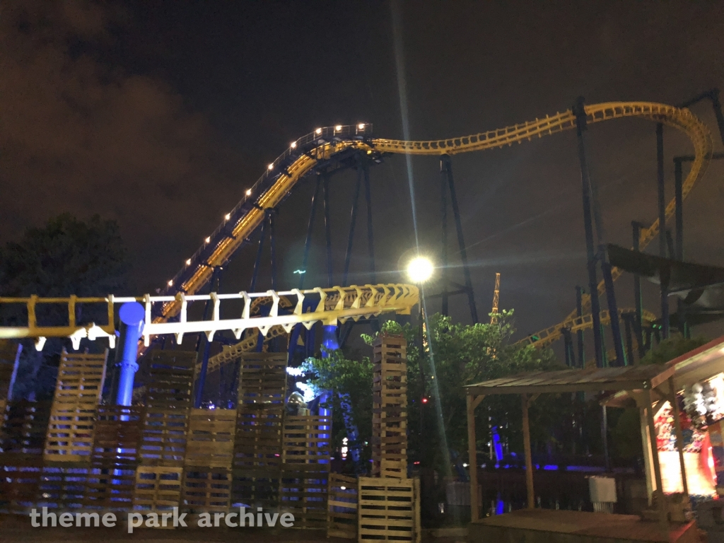 Nighthawk at Carowinds