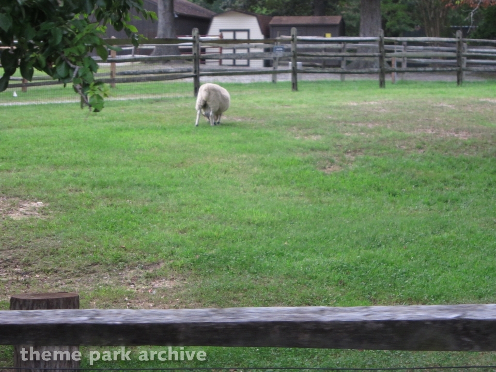 Scotland at Busch Gardens Williamsburg