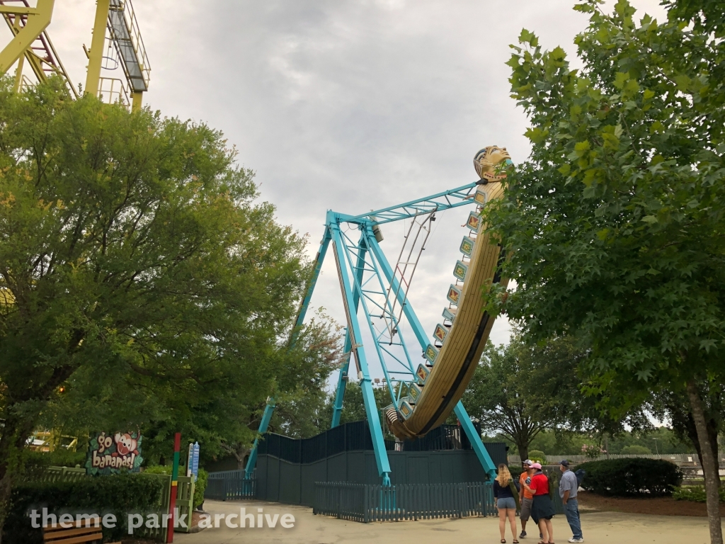 Pharoah's Fury at Wild Adventures