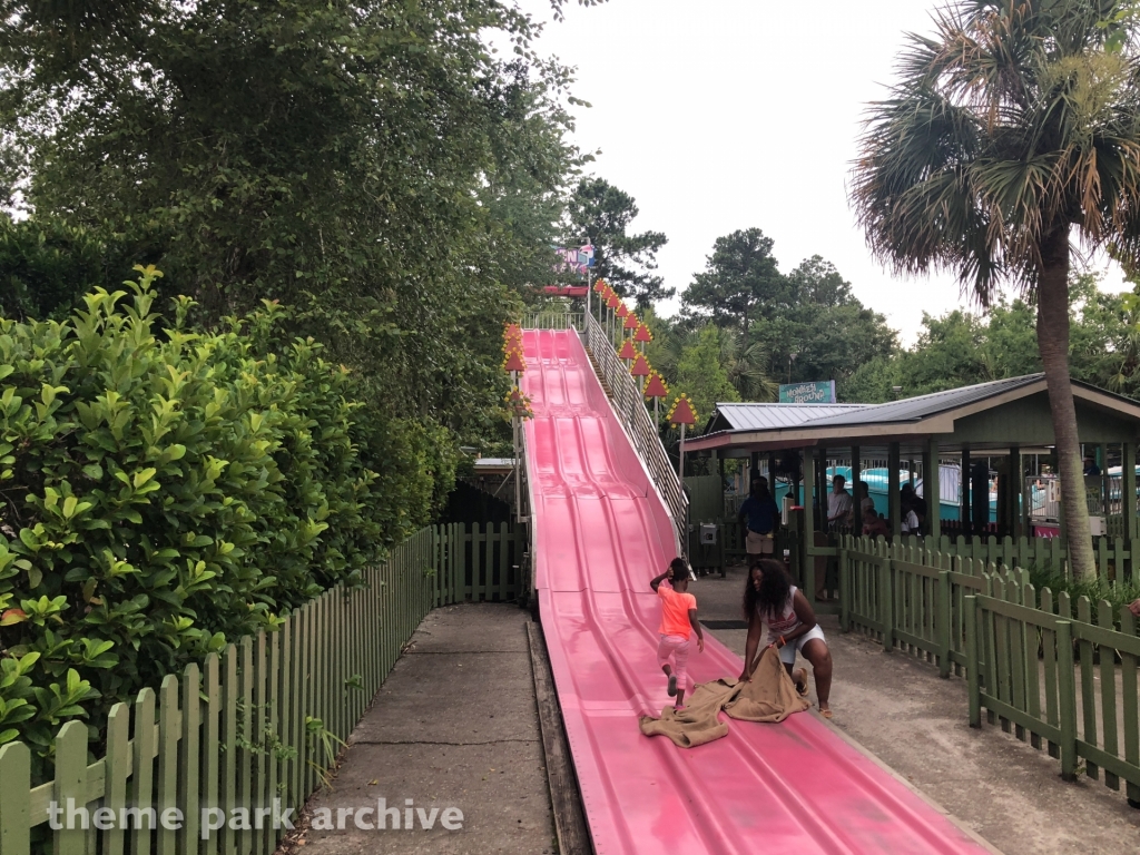 Toucan Alley at Wild Adventures