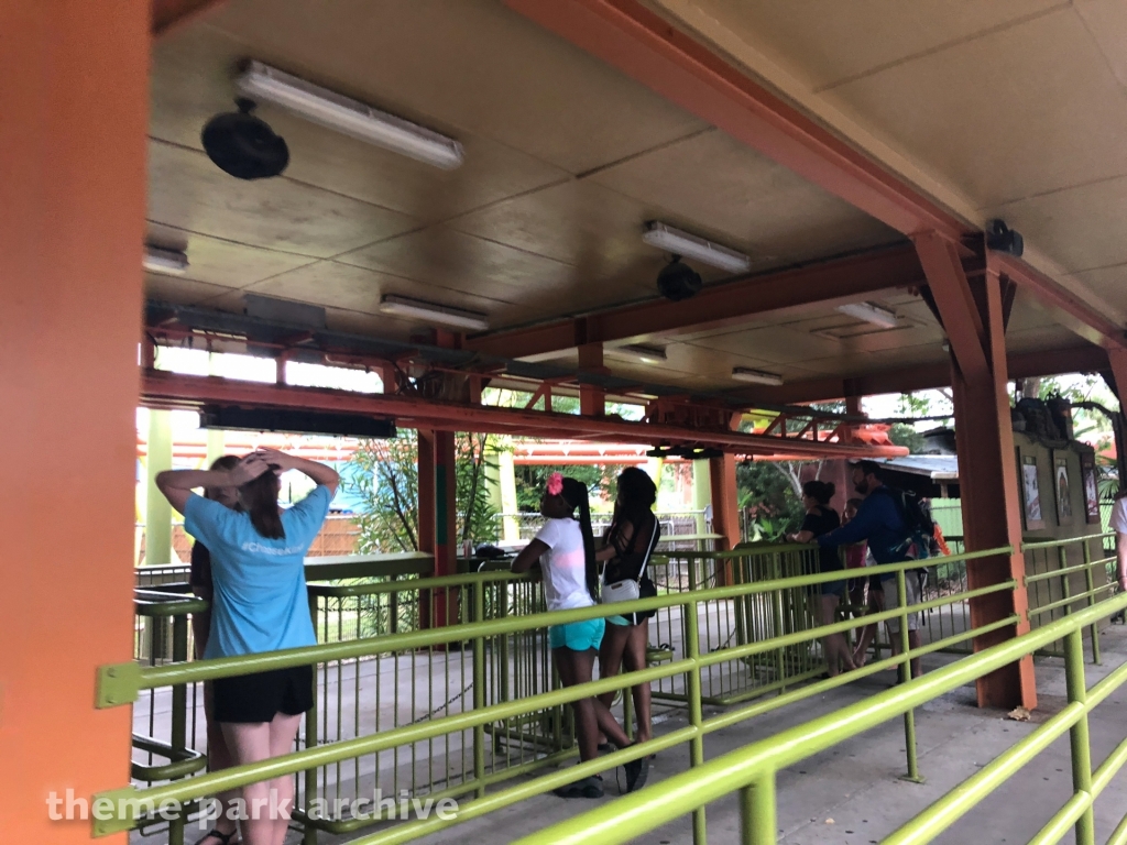 Swamp Thing at Wild Adventures