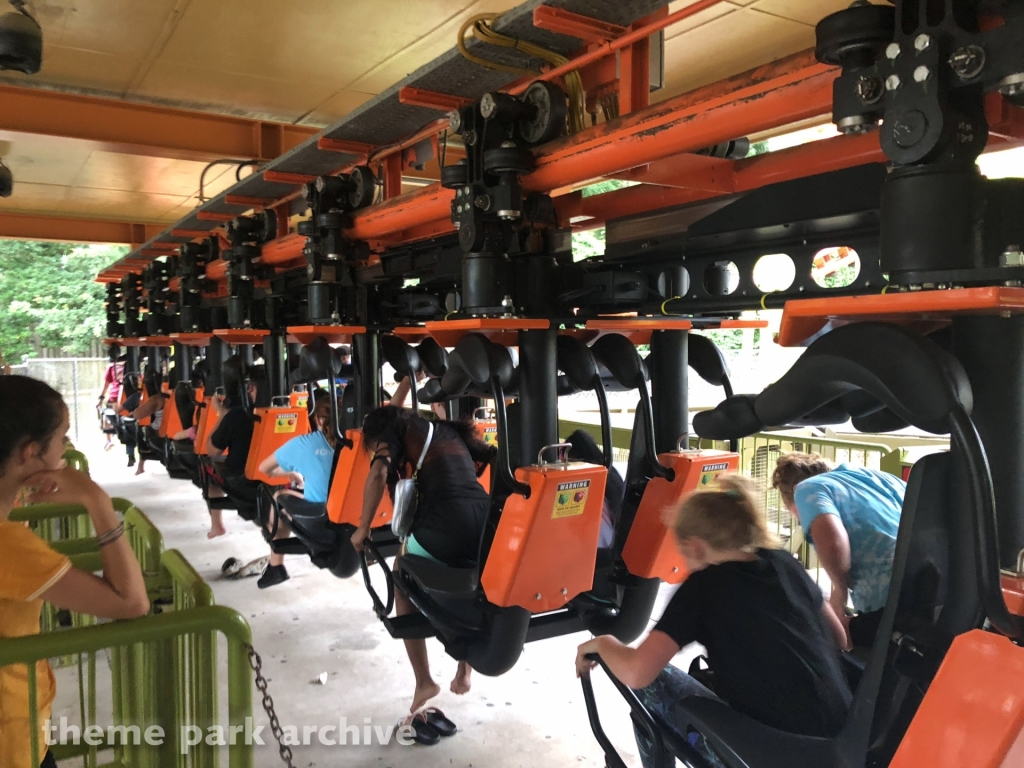 Swamp Thing at Wild Adventures