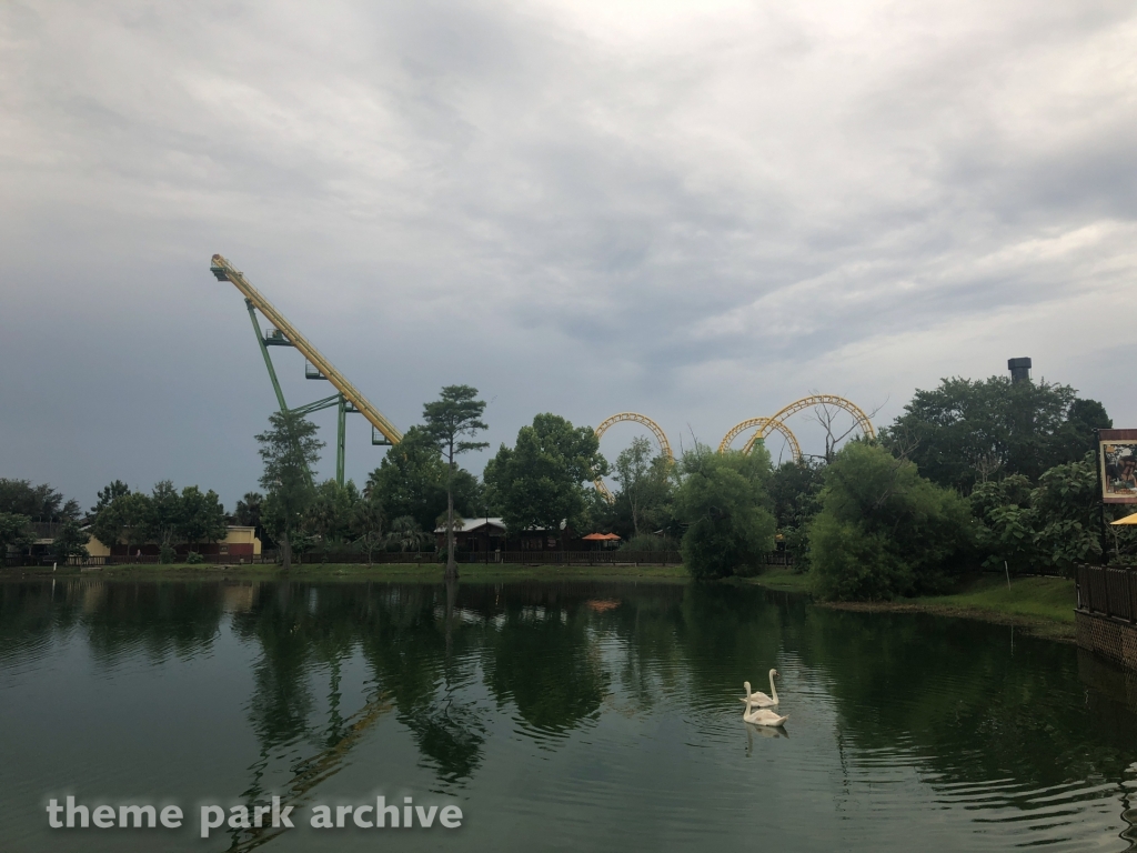 Boomerang at Wild Adventures