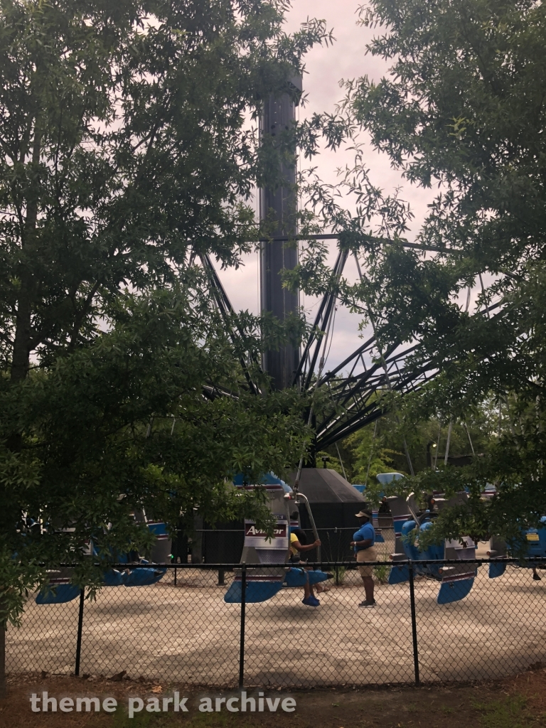 Aviator at Wild Adventures