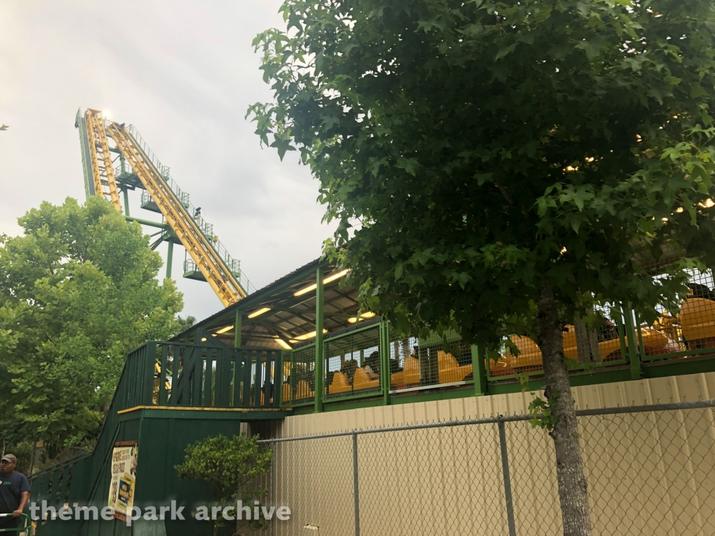 Boomerang at Wild Adventures