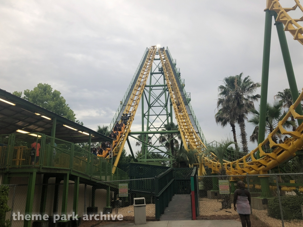 Boomerang at Wild Adventures