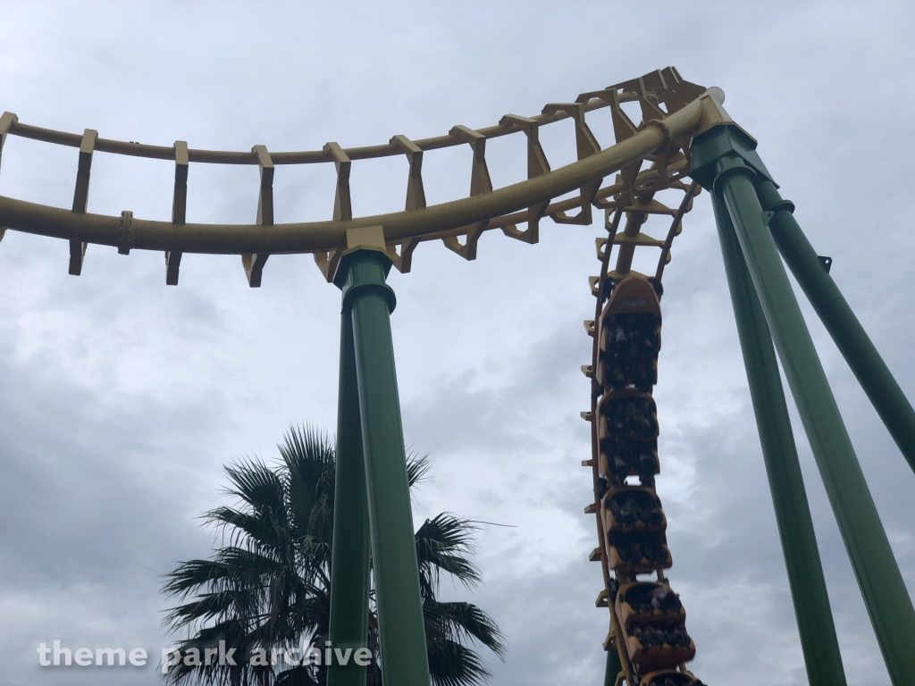 Boomerang at Wild Adventures