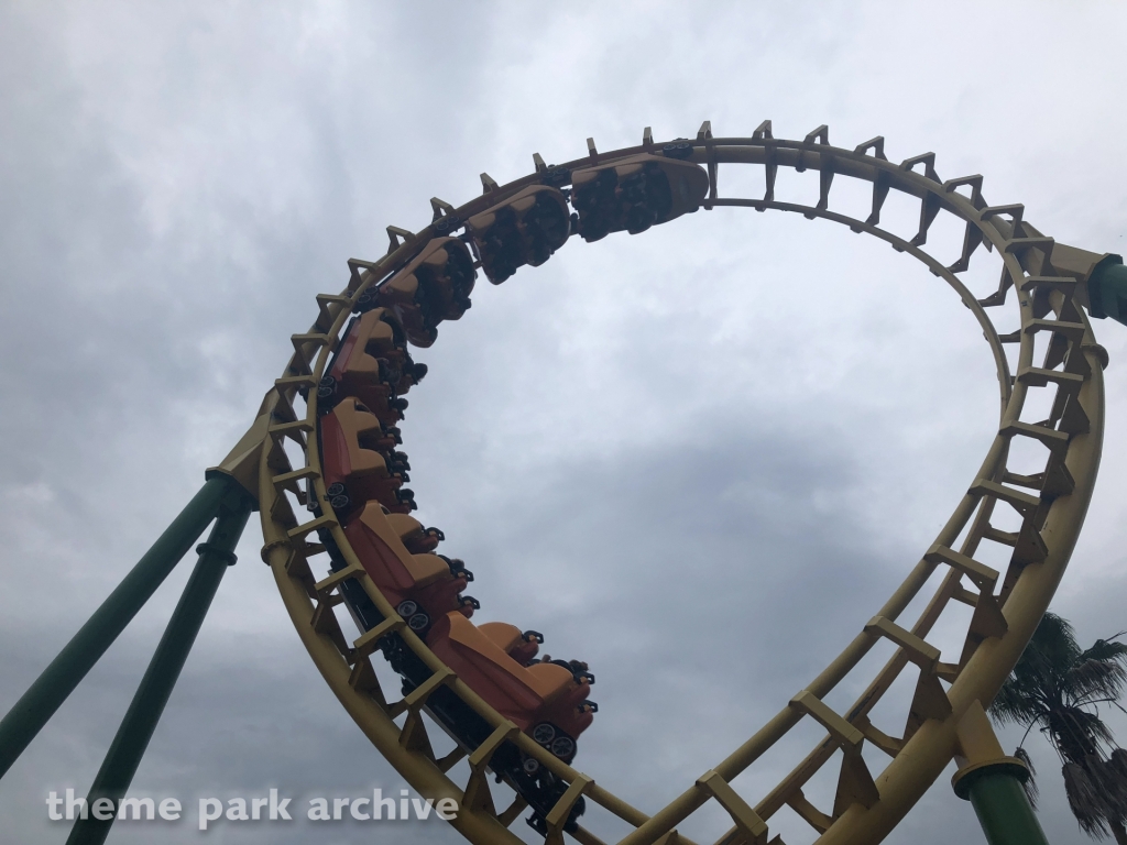 Boomerang at Wild Adventures