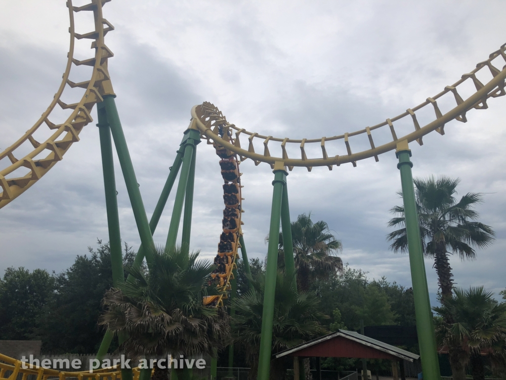 Boomerang at Wild Adventures