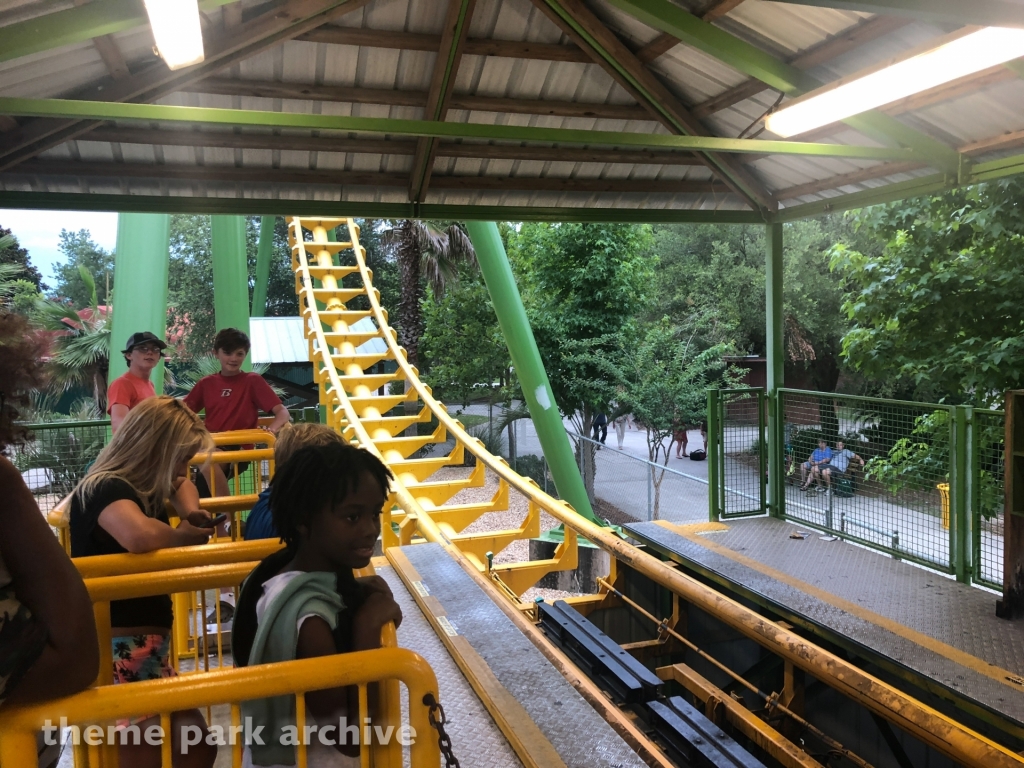 Boomerang at Wild Adventures