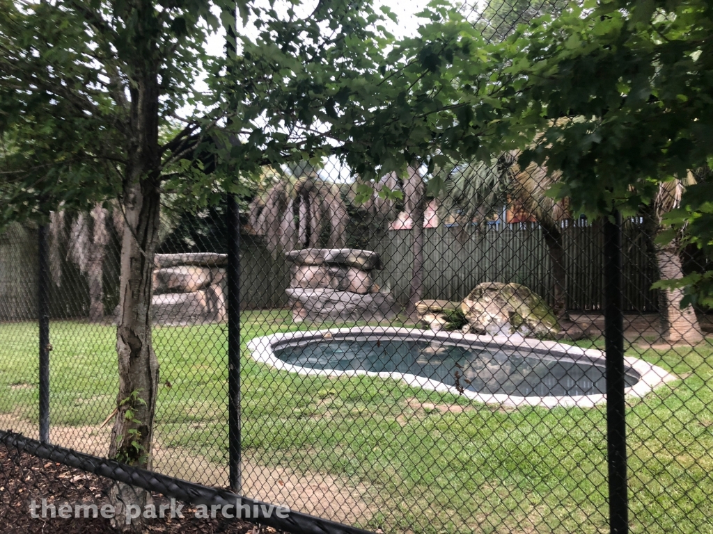 Misc at Wild Adventures