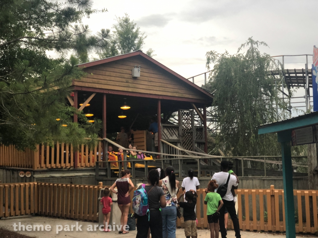 Cheetah at Wild Adventures