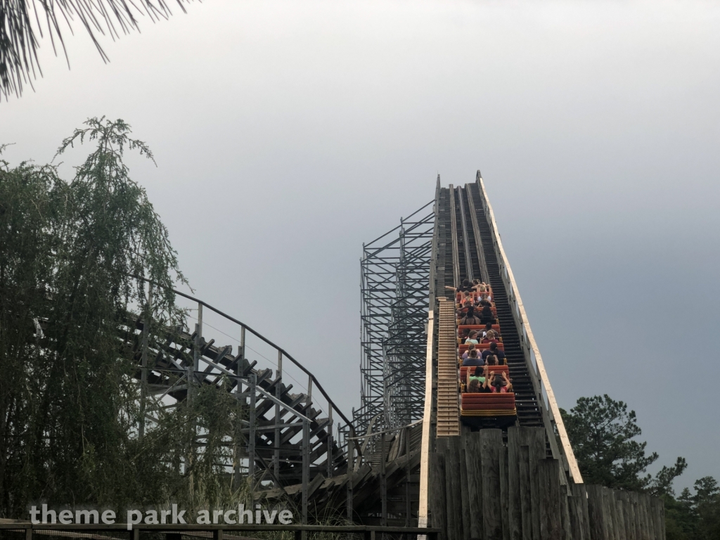 Cheetah at Wild Adventures