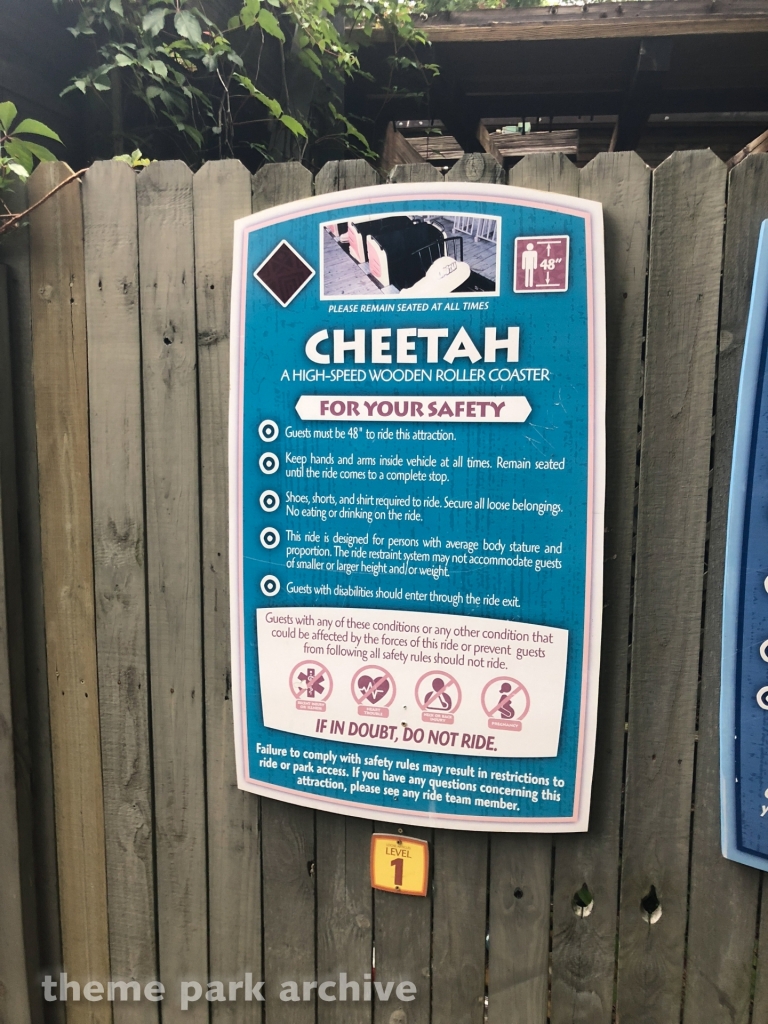 Cheetah at Wild Adventures