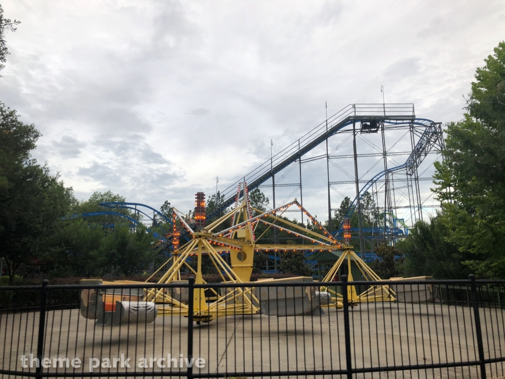 Whirling Wildcats at Wild Adventures
