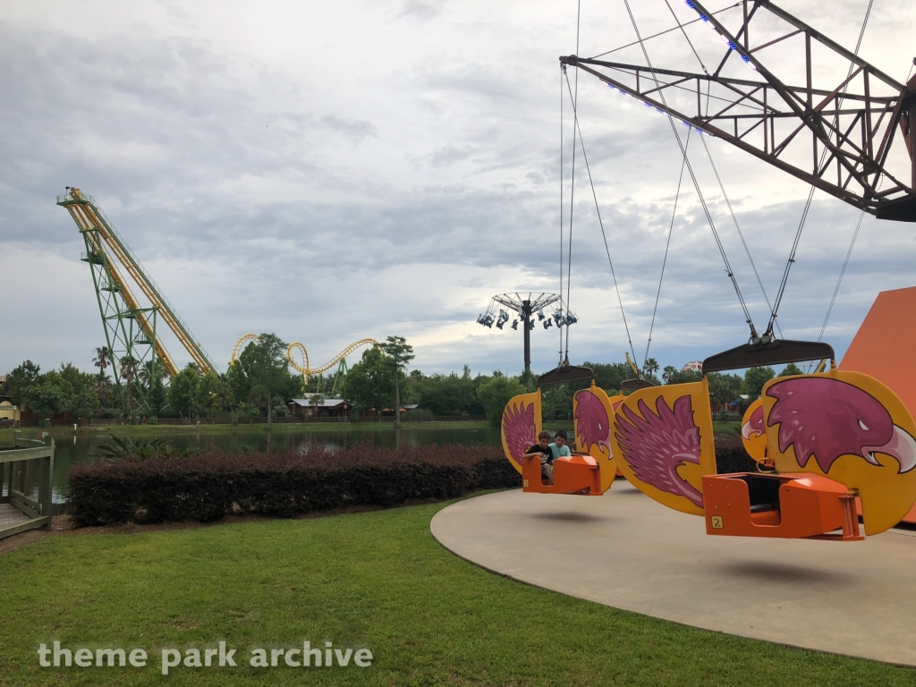 Falcon Flyer at Wild Adventures