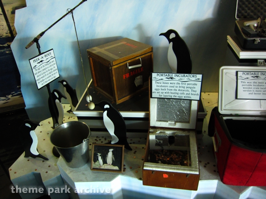 Penguin Encounter at SeaWorld San Diego