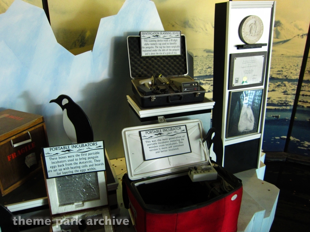 Penguin Encounter at SeaWorld San Diego