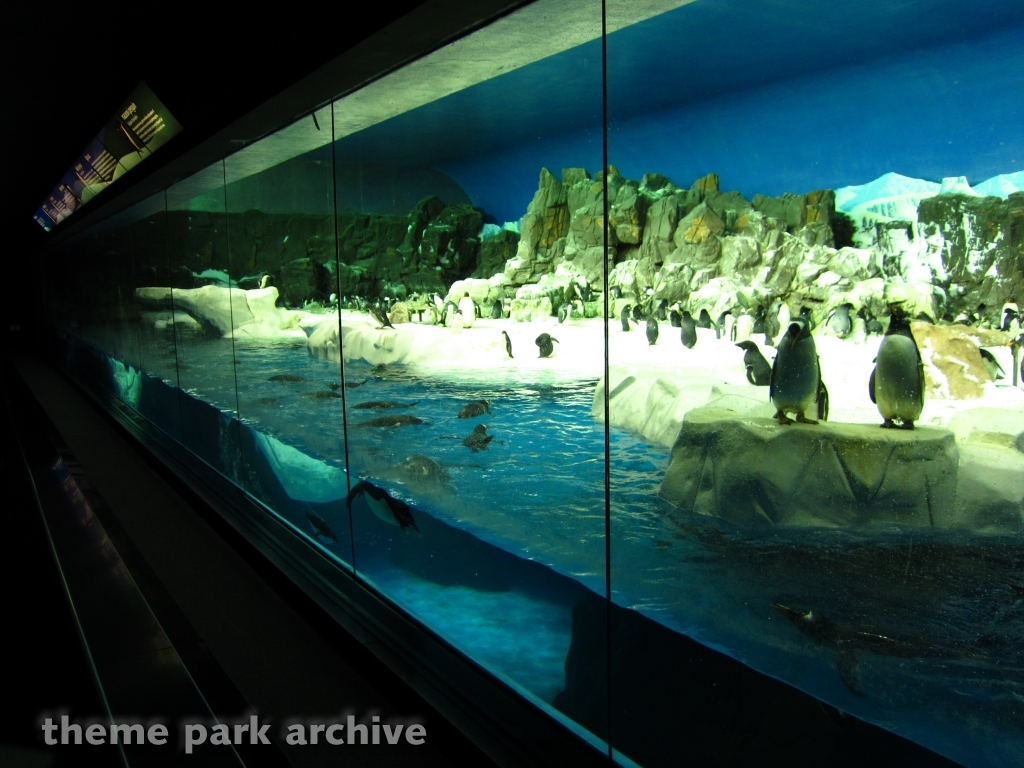 Penguin Encounter at SeaWorld San Diego