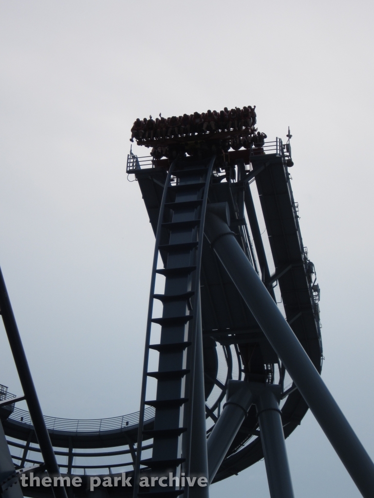 Griffon at Busch Gardens Williamsburg