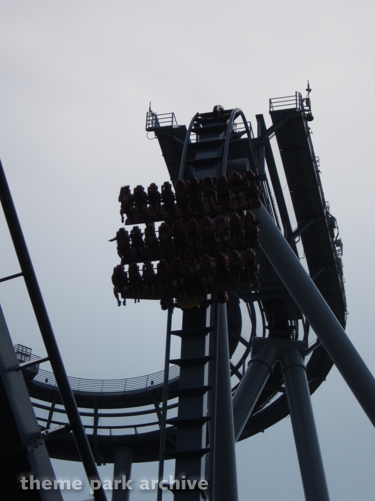 Griffon at Busch Gardens Williamsburg