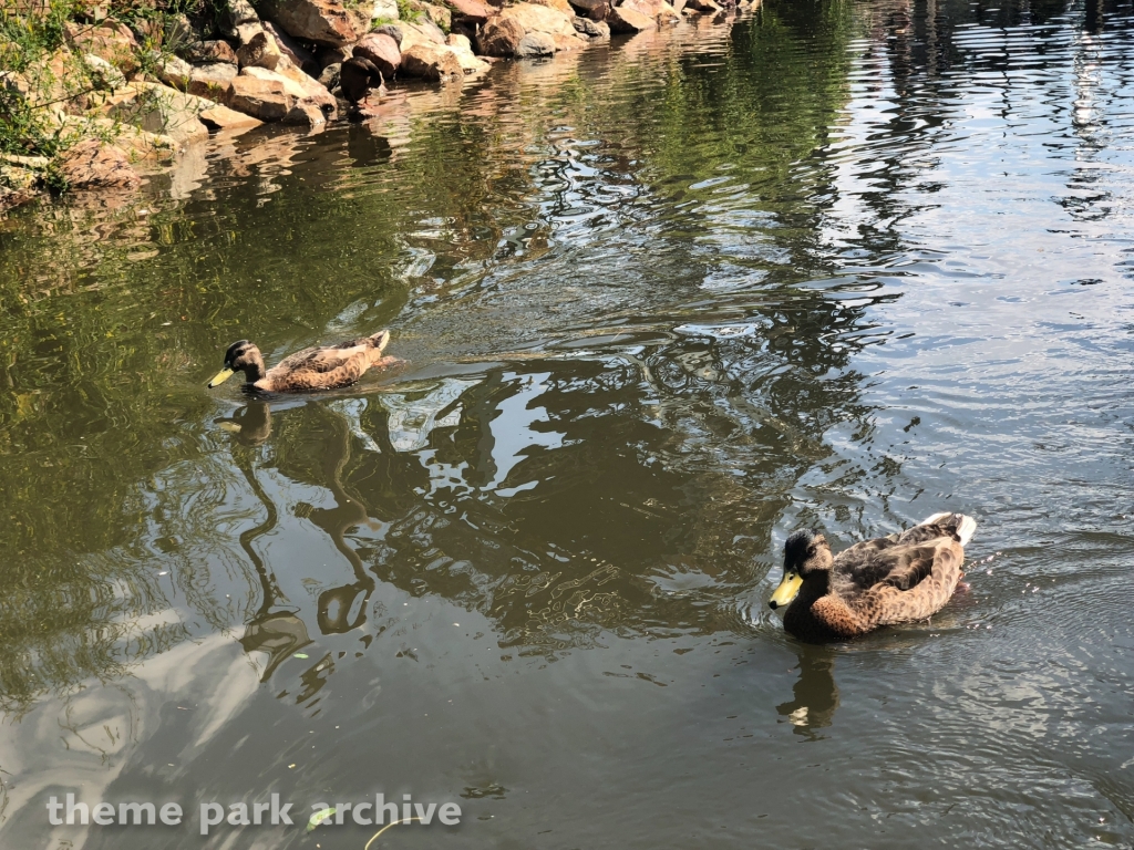 Gondoletta at Efteling