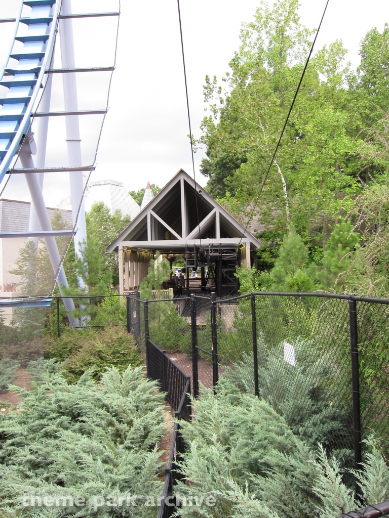 Griffon at Busch Gardens Williamsburg