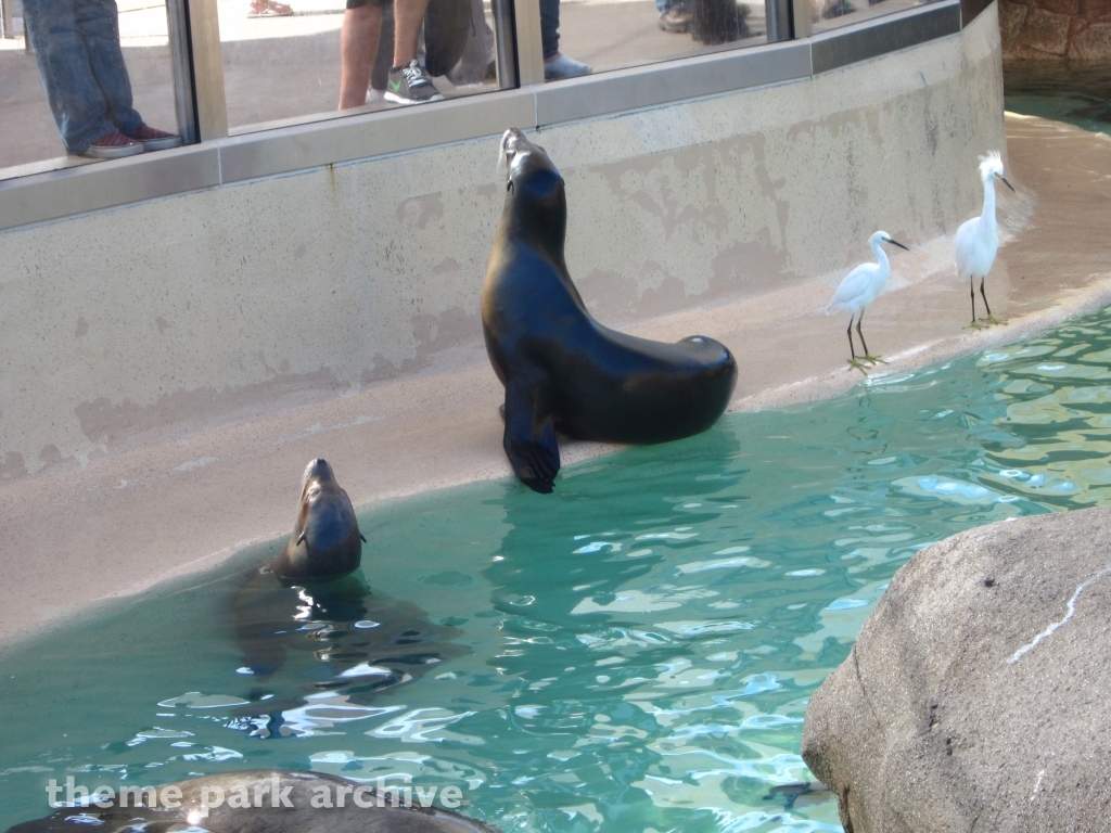 Pacific Point at SeaWorld San Diego