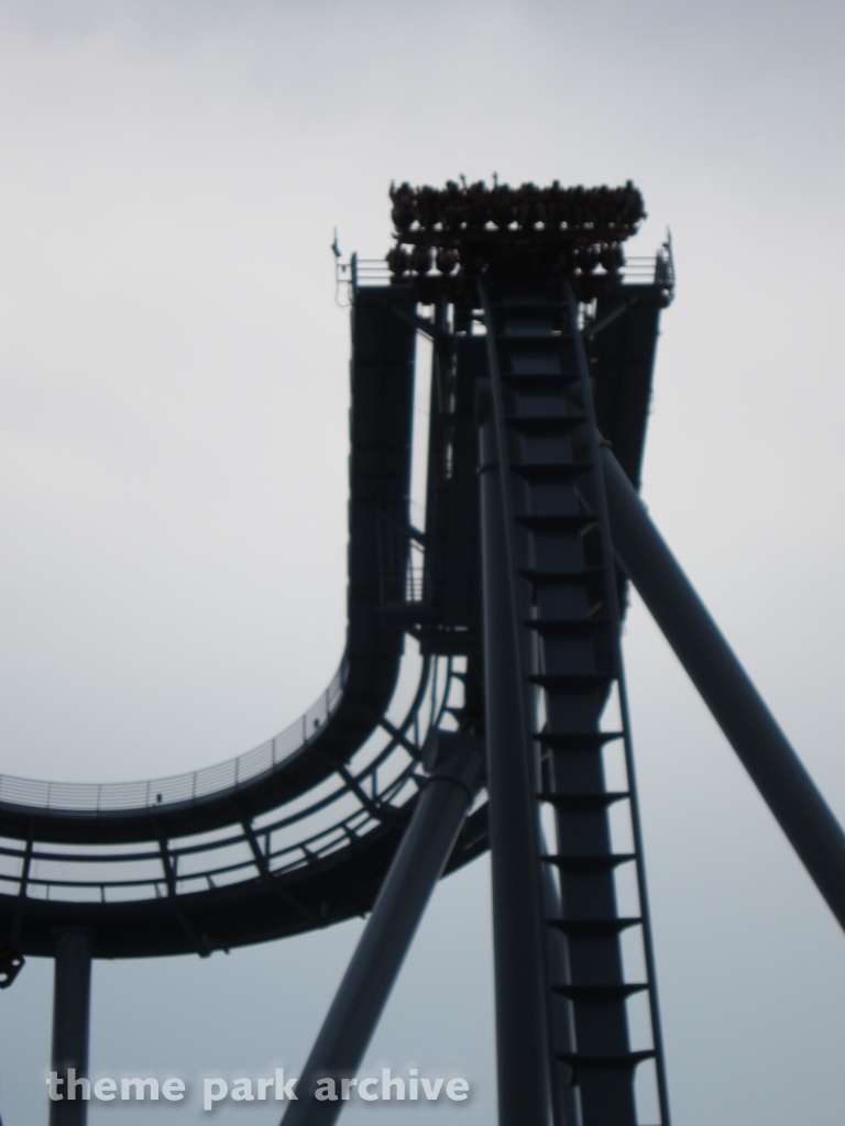 Griffon at Busch Gardens Williamsburg