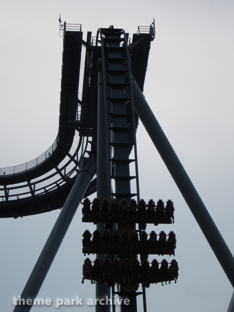 Griffon at Busch Gardens Williamsburg