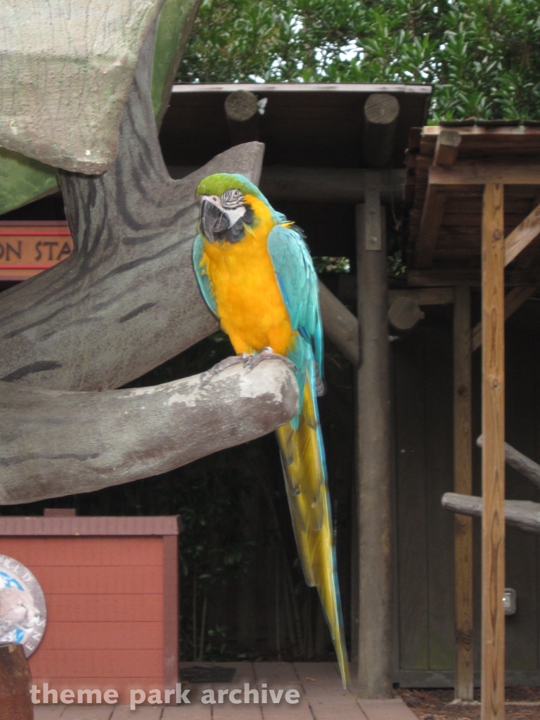 Jack Hanna's Wild Reserve at Busch Gardens Williamsburg