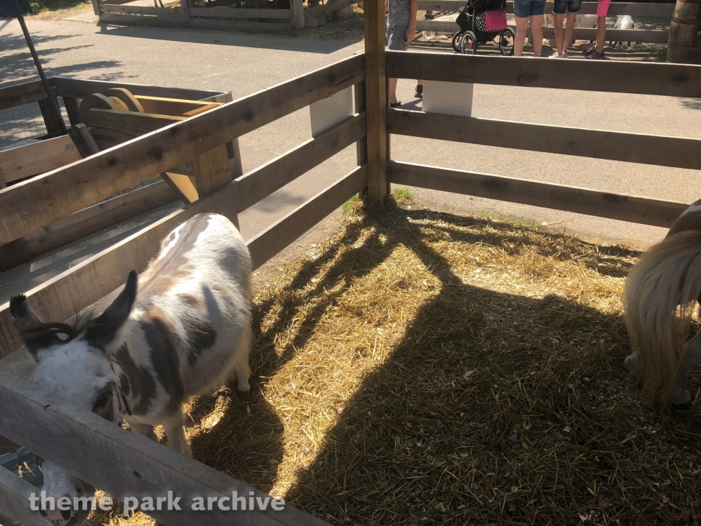 Funland Farm at Michigan's Adventure
