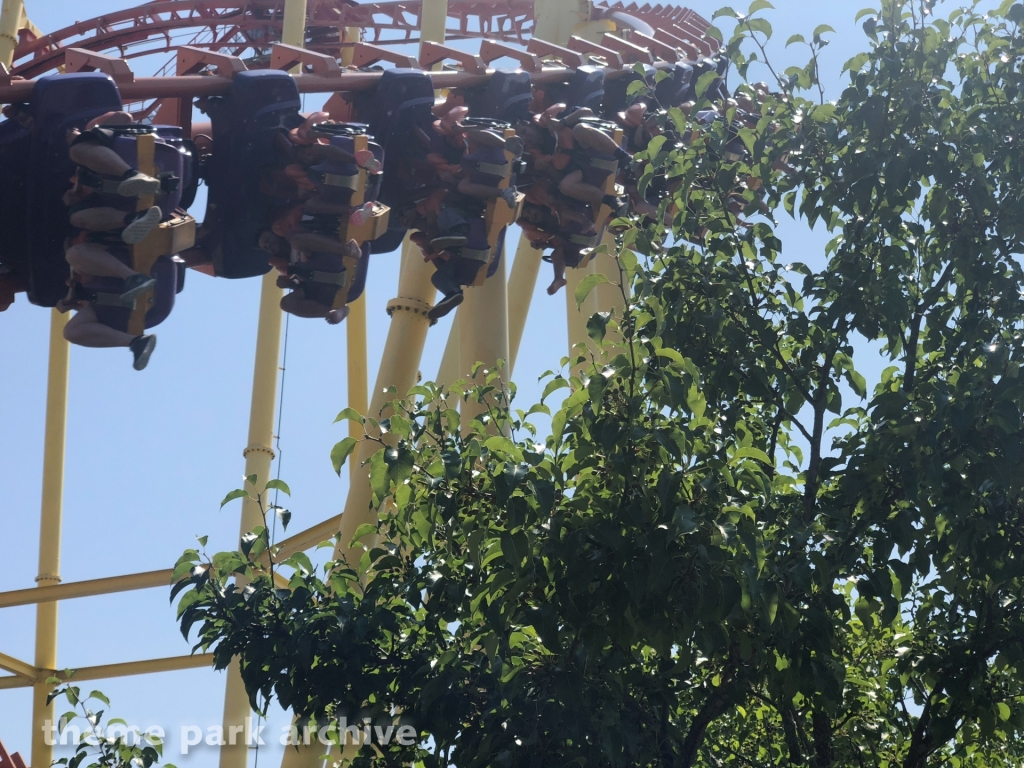 Thunderhawk at Michigan's Adventure