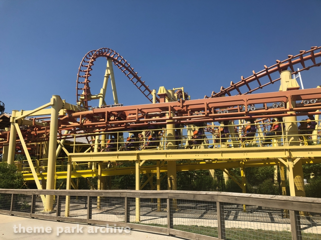 Thunderhawk at Michigan's Adventure