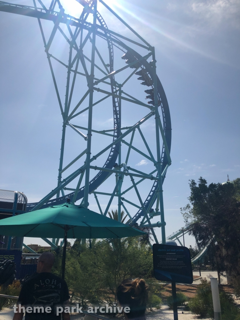 Electric Eel at SeaWorld San Diego