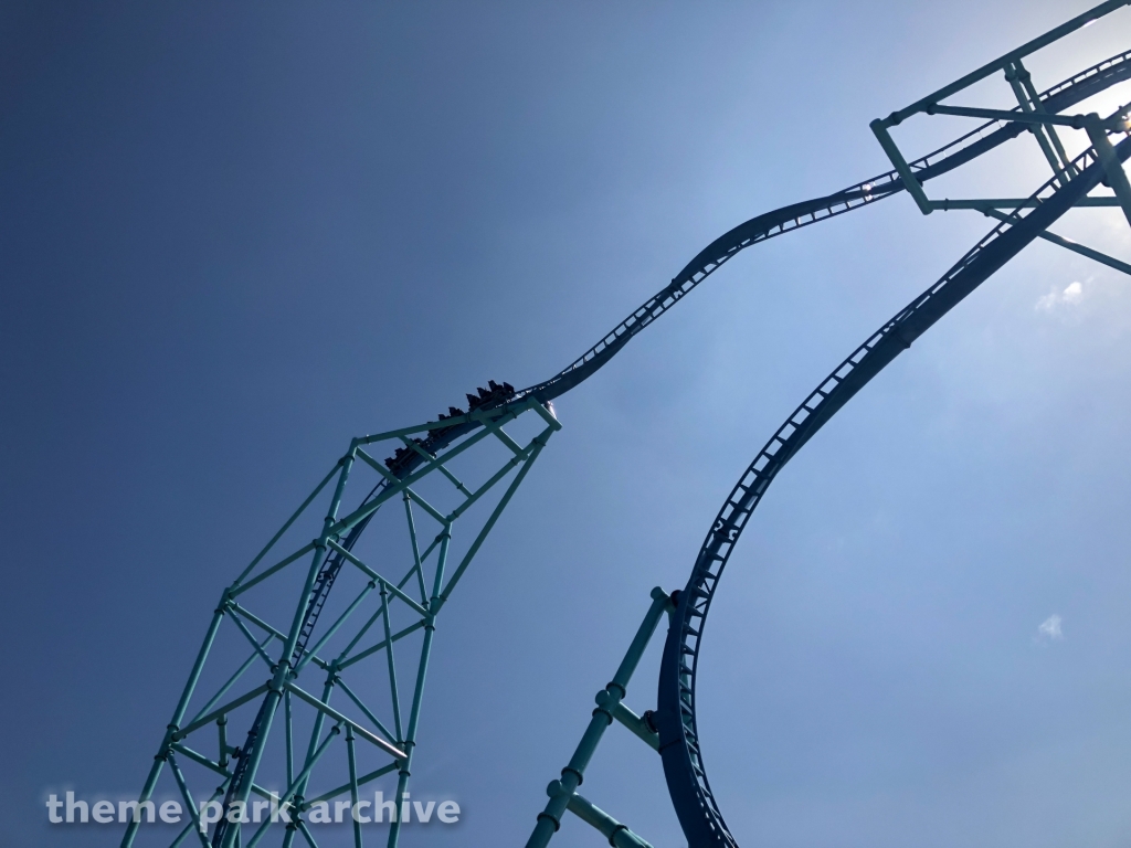 Electric Eel at SeaWorld San Diego