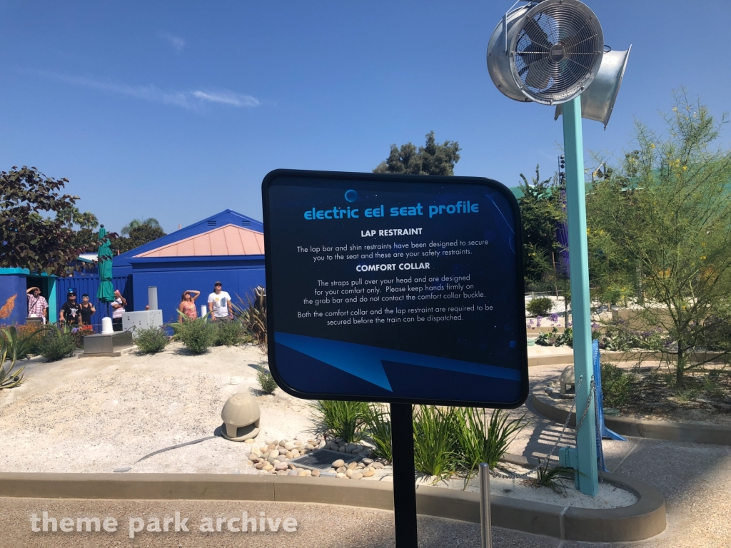 Electric Eel at SeaWorld San Diego